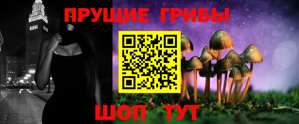 Карачаевск  Галлюциногенные грибы мухоморы  Вход с VPN 